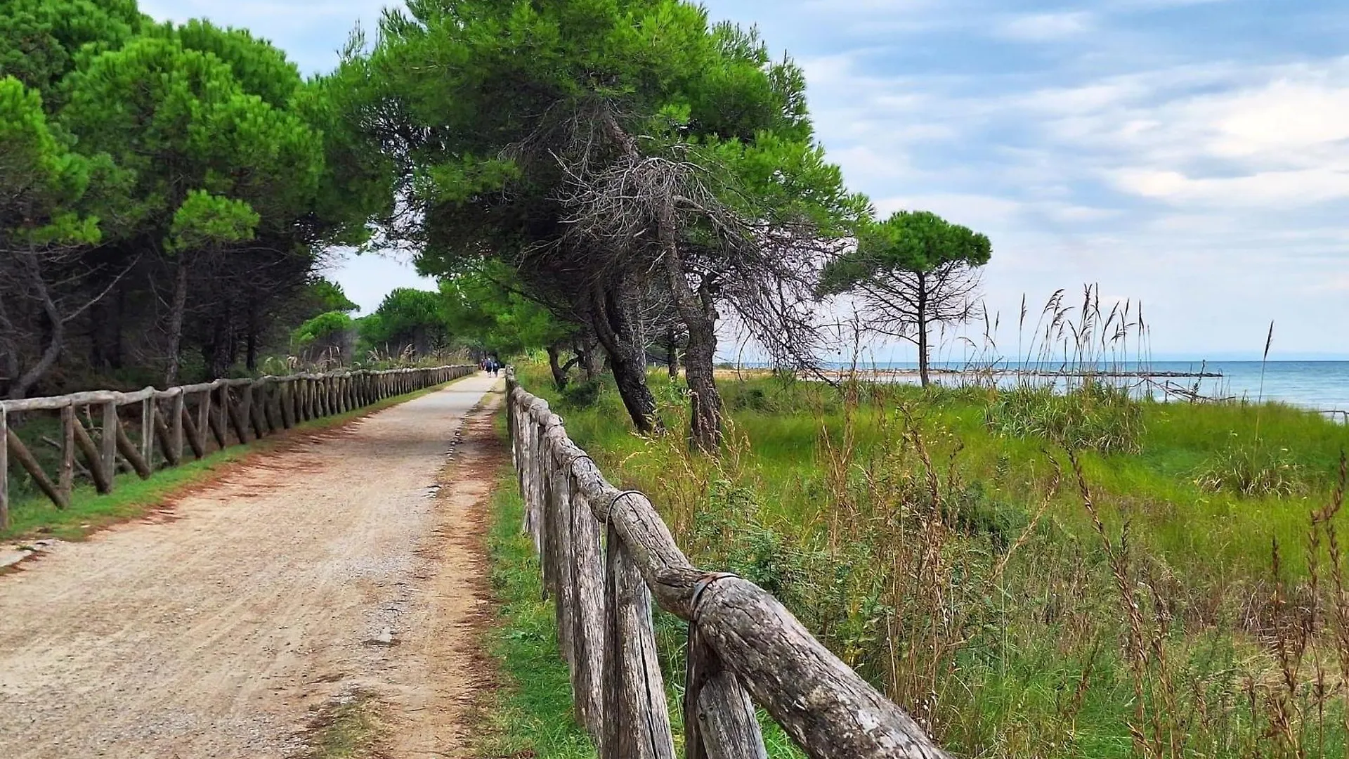 Seaside Welcoming Flat Next To The Beach - Beahost بيبيوني